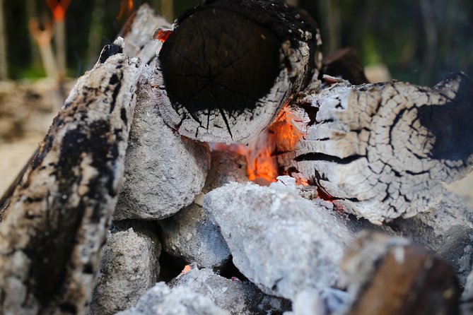 Private or Small-Group Temazcal Maya Ritual from Playa del Carmen - Temazcal From Playa del Carmen: A Ritual That’s Equal Parts Steam and Structure