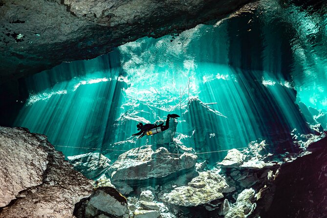 Private Scuba Diving in Cenote around Playa del Carmen - Key Highlights at a Glance