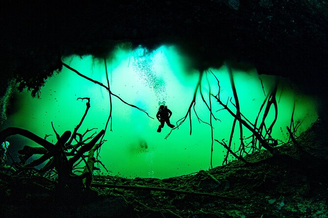 Private Scuba Diving in Cenote around Playa del Carmen - Two Underwater Sessions: What the 45-Minute Blocks Really Mean