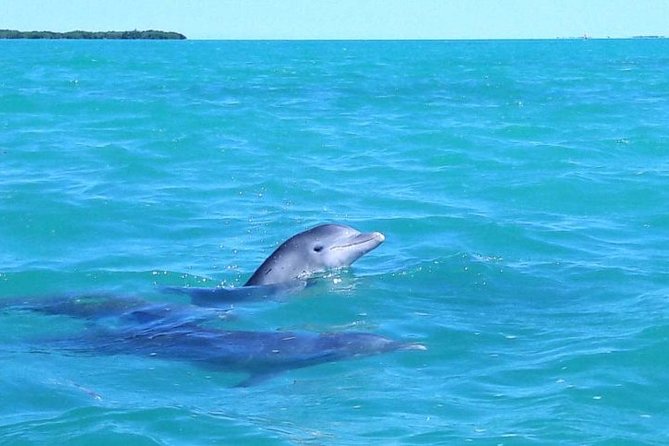 Private Sian Kaan Biosphere Tour - Why Sian Ka’an feels different from a typical beach day