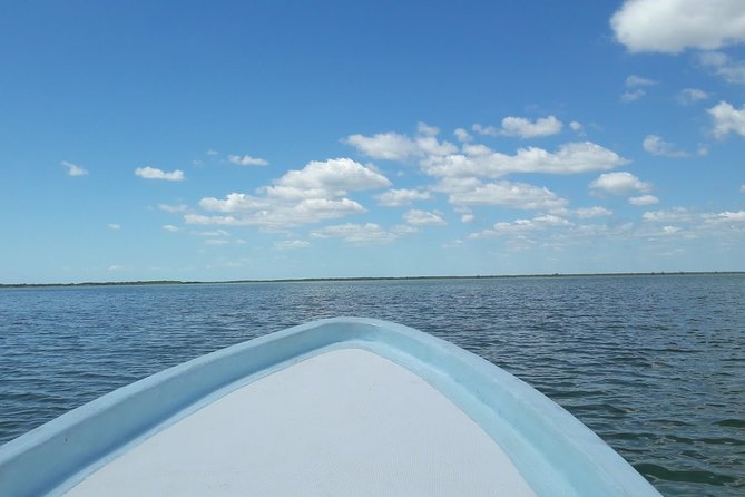 Private Sian Kaan Biosphere Tour - Guide quality makes the day click: Salvador Ocampo and Takeo