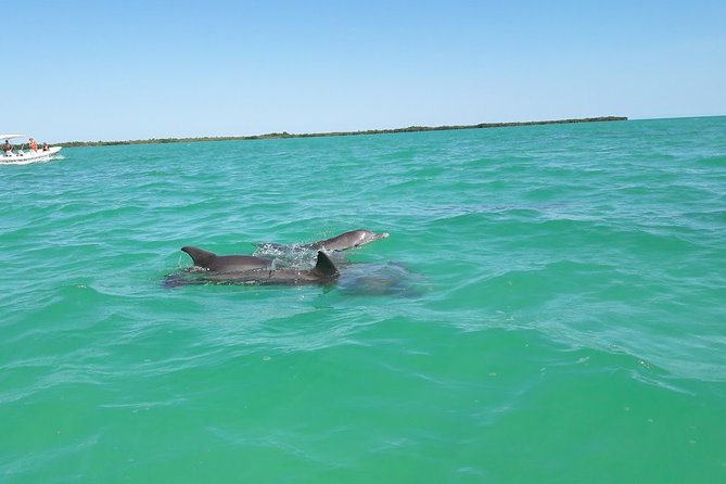 Private Sian Kaan Biosphere Tour - What to pack (and what to do) so the day stays fun