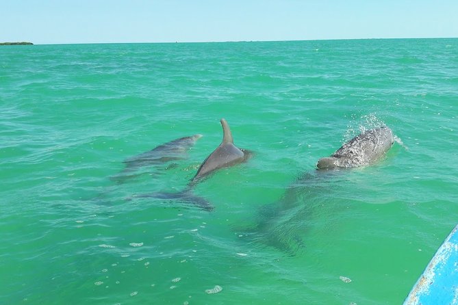 Private Sian Kaan Biosphere Tour - The 8:00 AM start: pickup, drive, and what to expect