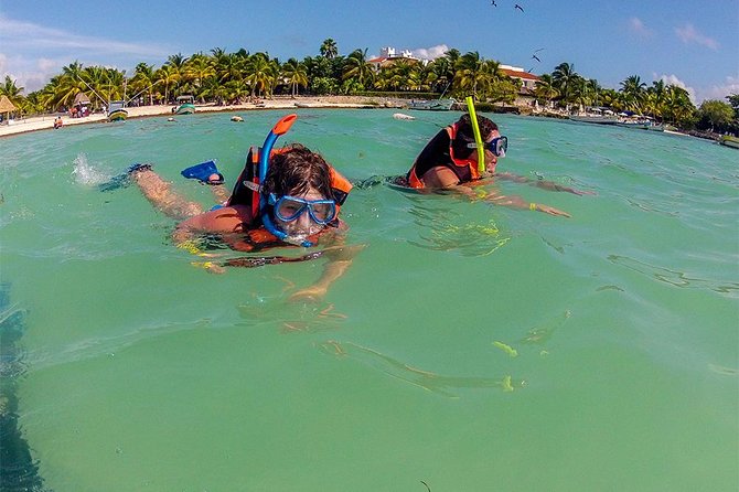 Private Tour: Akumal Marine Turtle Snorkeling and Cenote Adventure - Turtle and cenote etiquette that helps you and helps nature