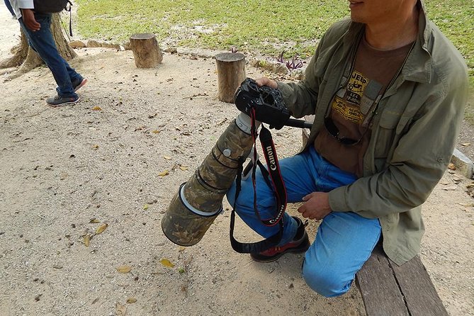 Private Tour: Birdwatching Playa del Carmen - What to wear and how to handle a moderate pace