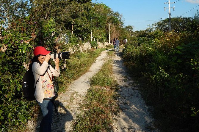 Private Tour: Birdwatching Playa del Carmen - Birding smarter: how to get more from a guide-led morning