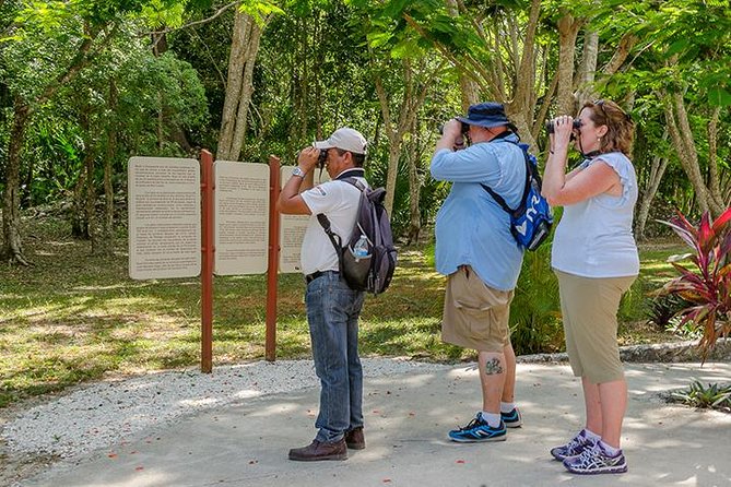 Private Tour: Birdwatching Playa del Carmen - The 4-hour Sian Kaan walk: what the reserve experience feels like