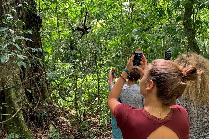 Private Tour: Coba ruins & Monkey Sanctuary with Punta Laguna - Why this Coba and Punta Laguna day feels like two adventures