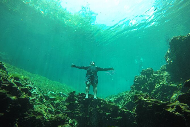 Private Tour Swim with Turtles, 2 Cenotes & Gopro - Akumal Bay Turtle Swim: What You Can Expect in the Water