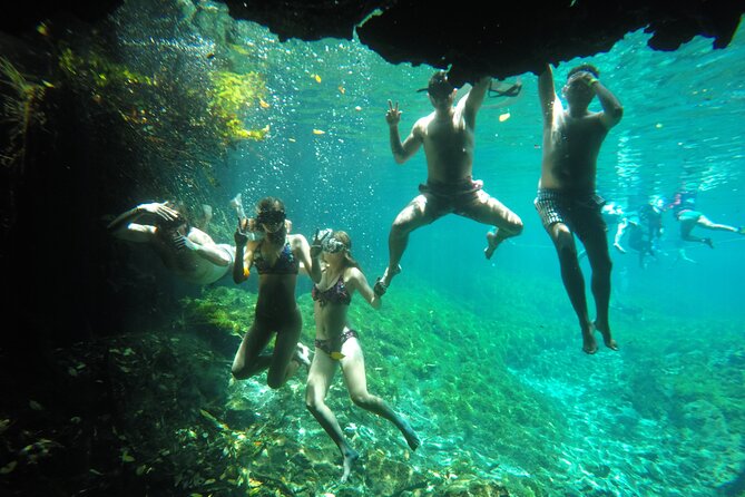 Private Tour Swim with Turtles, 2 Cenotes & Gopro - Cenote Xunaan Ha Start: Timing, Breathing Room, and First Water Photos