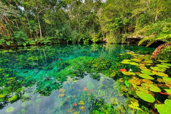 Private Tour Tankah 3 Zip Lines 3 Cenotes Canoe Snorkel Community - The Private Advantage: Your Pace, Your Pickup, No Herding