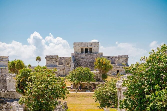 Private Tour to Tulum and Swimming with Turtles in Akumal - Key highlights you’ll care about