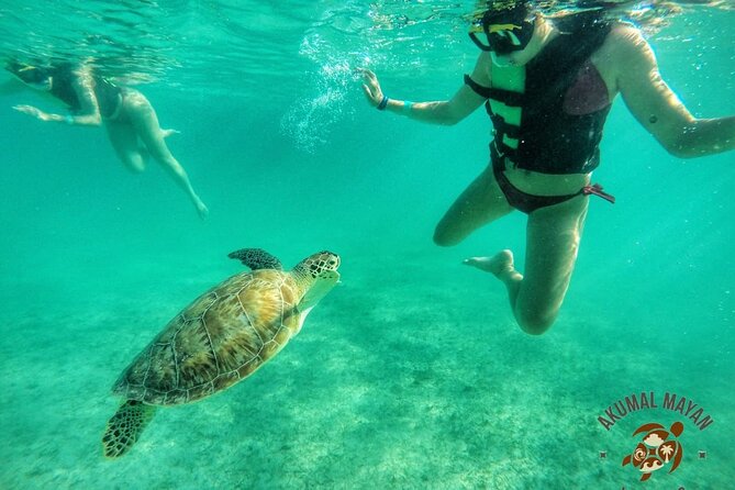 Private Tour to Tulum and Swimming with Turtles in Akumal - Value check: is $170.55 per person worth it?