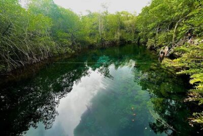 Private Tour to Tulum Cenotes Sac Actun - Cenote Sacactum and the open cenote views