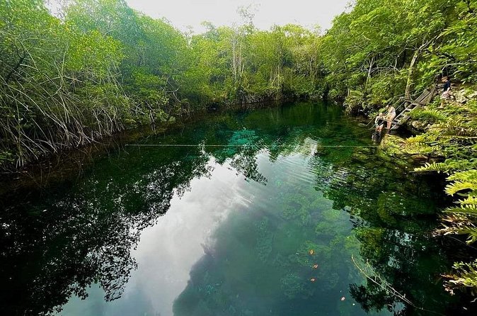 Private Tour to Tulum Cenotes Sac Actun - Price of $190 per person: when it feels like a bargain