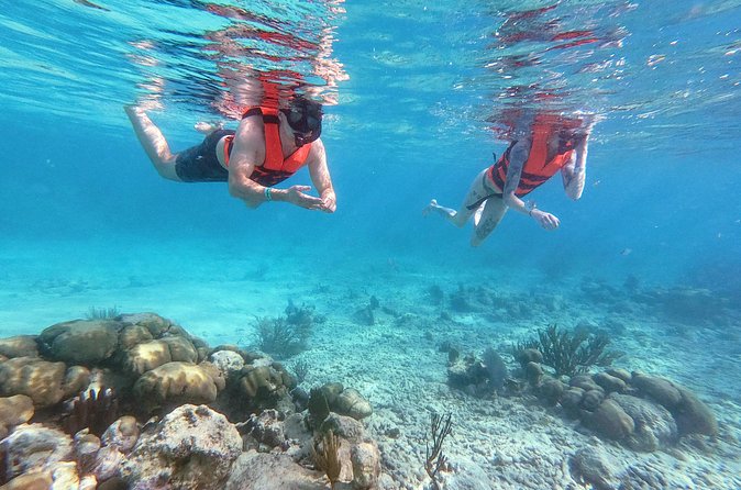 Private Tour Tulum Ruins and Snorkeling in National Park - Group size and pacing: why private matters here