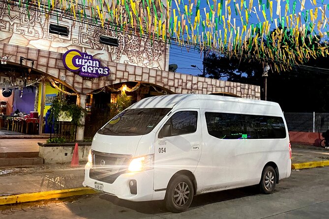 Private Transfer from Cancun Airport to Cancun and Hotel Zone - Who This Cancun Airport Transfer Suits Best