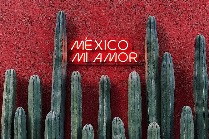 Private Transfer from Playa del Carmen to Tulum - Arrival in Tulum: Dropped Exactly Where You Want