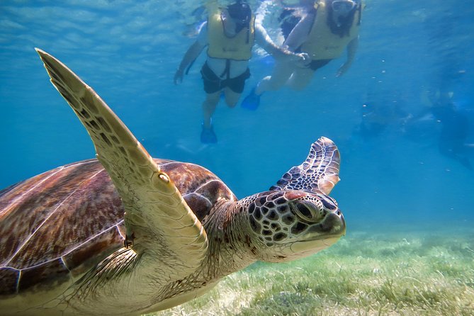 Private Tulum Ruins, Turtles in Akumal and Cenote Adventure - Morning pickup and the timing that helps at Tulum