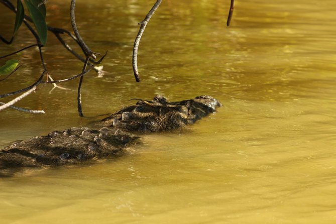 Private Yucatan Discovery Tour - Hotels, comfort, and recovery time between temples