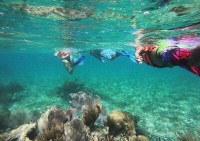 Puerto Morelos: Snorkel in Coral Reef with transportation - Transportation From Your Hotel: Convenience, But Watch the Timing