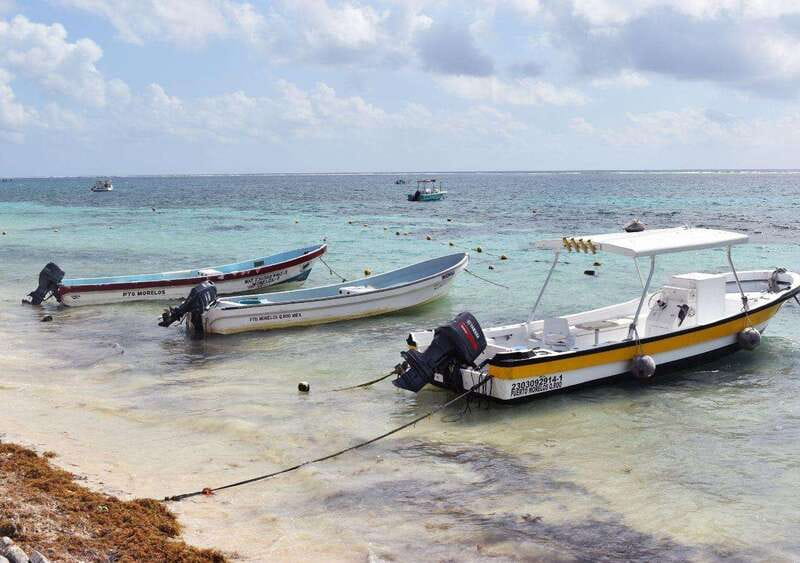 Puerto Morelos: Snorkel in Coral Reef with transportation - Equipment and the Guided Snorkel Flow: Comfort Starts Before You Go In