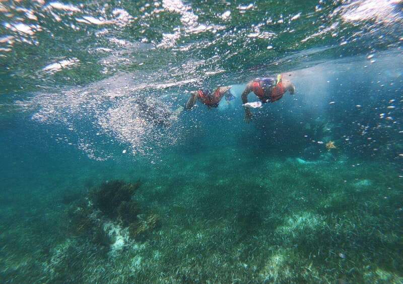 Puerto Morelos: Snorkel in Coral Reef with transportation - The Boat Ride and Reef Viewing: What the Experience Feels Like