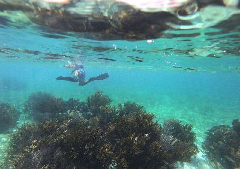 Puerto Morelos: Snorkel in Coral Reef with transportation - Who Should Book This Tour (And Who Might Reconsider)