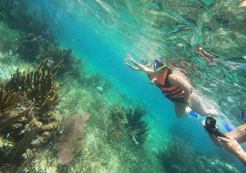 Puerto Morelos: Snorkel in Coral Reef with transportation - Practical Tips to Make Your Snorkel Day Smoother
