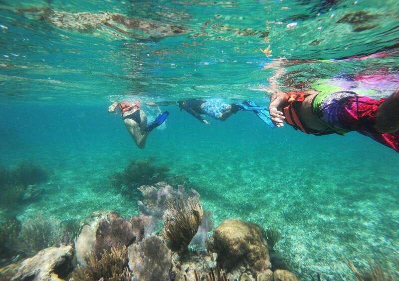 Puerto Morelos: Snorkel in Coral Reef with transportation - Transportation From Your Hotel: Convenience, But Watch the Timing