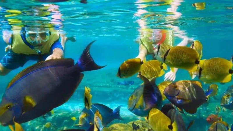Puerto Morelos: Snorkeling at The National Reef Park - Getting to the corals: the 500-meter boat transfer and what it changes