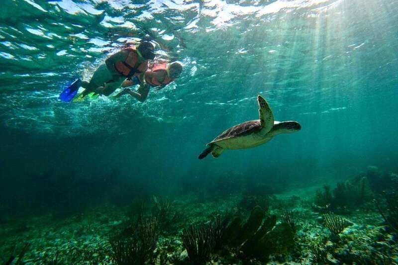 Puerto Morelos: Snorkeling Guided Activity - Snorkeling equipment and comfort: why included gear can be a big deal