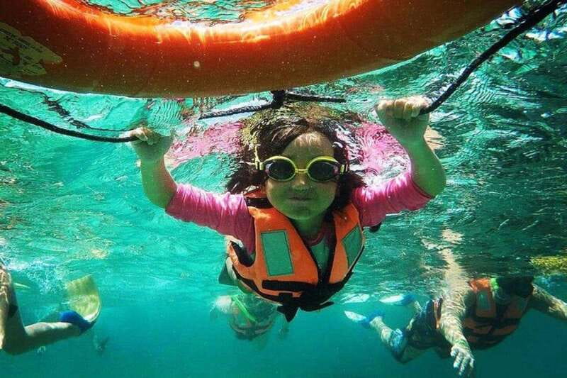 Puerto Morelos: Snorkeling Guided Activity - What you can expect to see: turtles, rays, barracudas, and cat shark