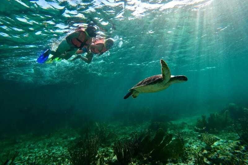 Puerto Morelos: Snorkeling Guided Activity - Who should book this Puerto Morelos snorkeling tour (and who should adjust expectations)