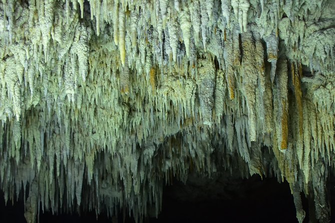 Río Secreto Playa del Carmen - Photos and Souvenirs: Plan on Extra Spend If You Want Proof