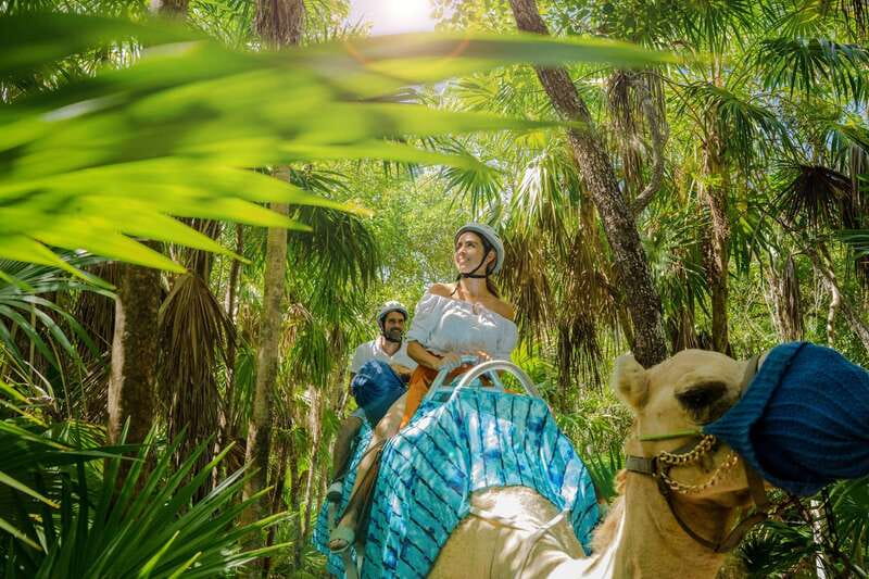Riviera Maya: Camel Caravan Expedition and Beach Club Access - The Camel Lesson: Simple, Guided, and Safety-Focused