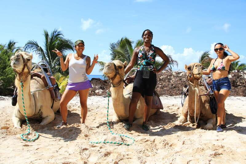 Riviera Maya: Camel Caravan Expedition and Beach Club Access - The Main Ride Along Maroma Beach: Sea Air and Dune Views