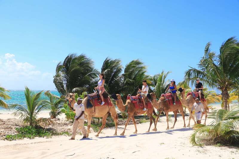 Riviera Maya: Camel Caravan Expedition and Beach Club Access - Who This Works for (and Who Should Skip It)
