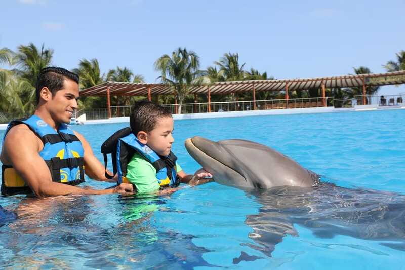 Riviera Maya: Dolphin Encounter with Beach Club Access - Getting There From Cancun: Finding Dolphin Discovery Maroma on Highway 307