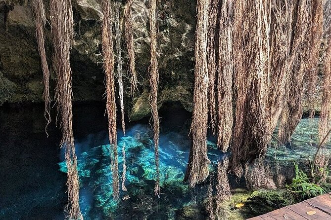 Riviera Maya Half Day Casa Jaguar Cenote, Zipline and ATV - The zip line: 27 meters high and 400 meters long