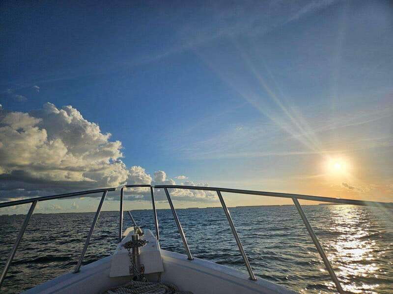 Riviera Maya: Isla Contoy and Isla Mujeres Full-Day Tour - Who should book this Isla Contoy and Isla Mujeres day tour