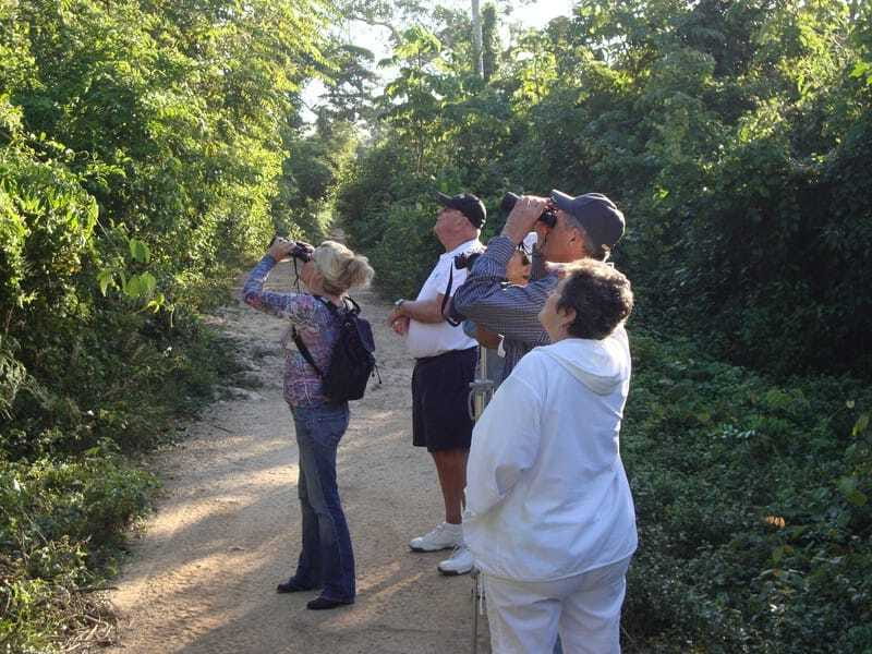 Riviera Maya: Puerto Morelos 4-Hour Bird Watching Tour - Sustainable tourism and Mayan culture support