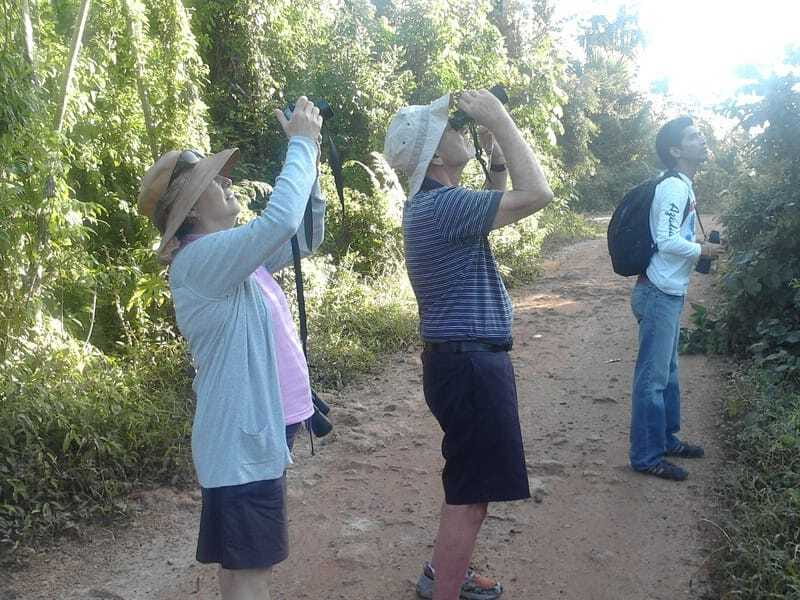 Riviera Maya: Puerto Morelos 4-Hour Bird Watching Tour - Pricing reality check: when this is worth it