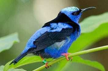 Riviera Maya: Puerto Morelos 4-Hour Bird Watching Tour - The value question: $690 per group (up to 2) and what that buys you