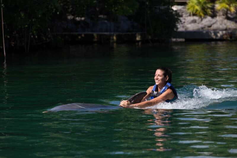 Riviera Maya: Swim with dolphins Interax - Key things to know before you go