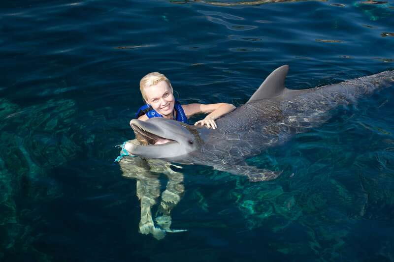 Riviera Maya: Swim with dolphins Interax - Riviera Maya Swim With Dolphins Interax: The setup near Xcaret Park