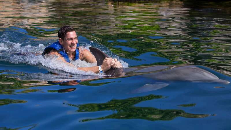 Riviera Maya: Swim with dolphins Interax - 14 dolphin activities in the water: what you’ll do minute by minute