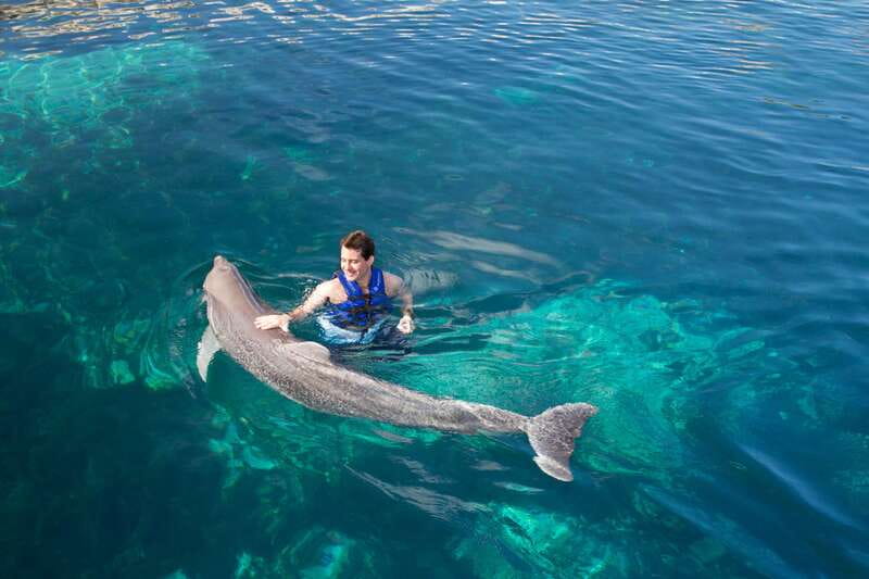Riviera Maya: Swim with dolphins Interax - Staff and guidance: what the best reviews get right
