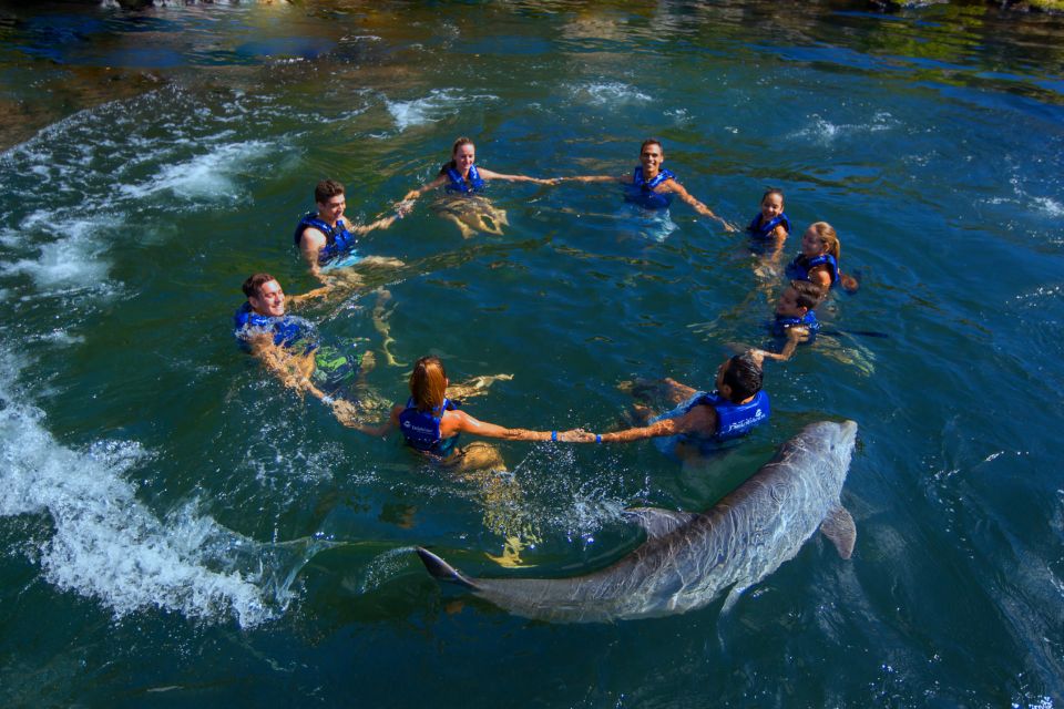 Riviera Maya: Swim with dolphins Interax - Practical tips to make the dolphin session smoother