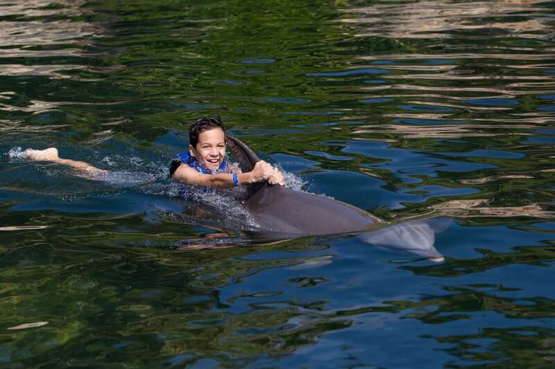 Riviera Maya: Swim with dolphins Interax - Who should book Interax Dolphin Swim, and who should think twice